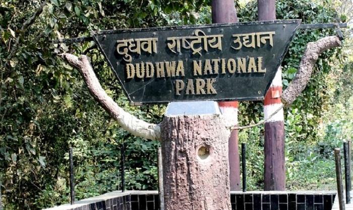 Dudhawa national park