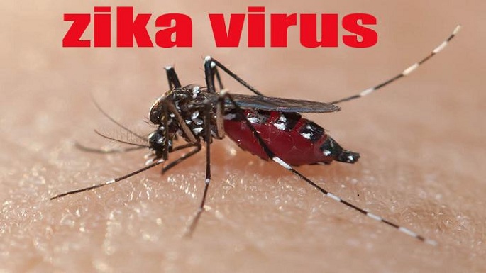 Zika outbreaks