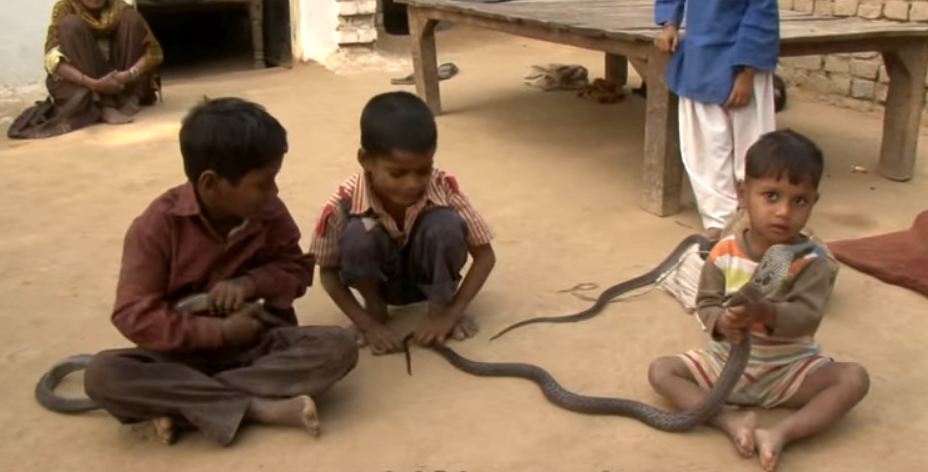 Indian Kids Play With Snakes