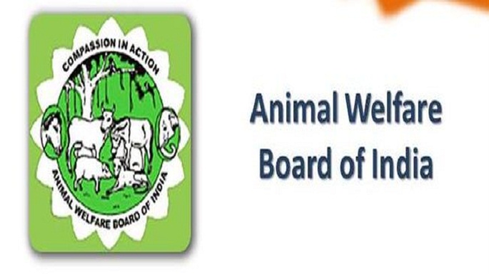 jallikattu animal welfare board