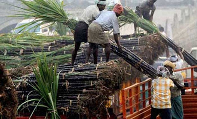 50 lakh sugarcane farmers up