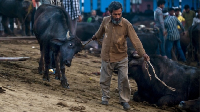 meat businessmen strike