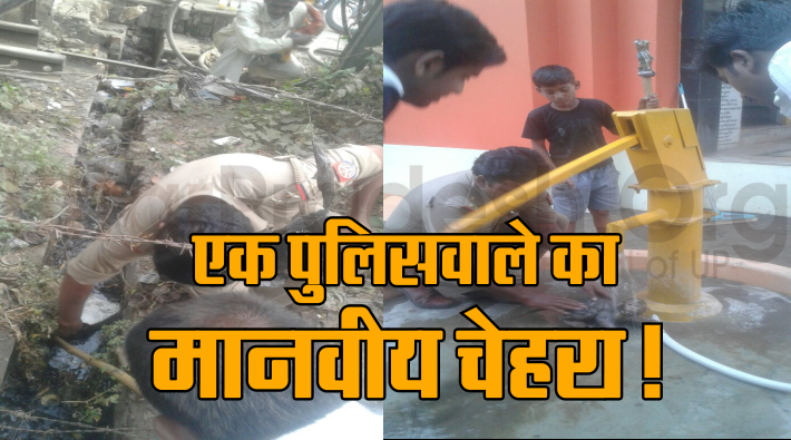 sp singh save monkey life in sultanpur