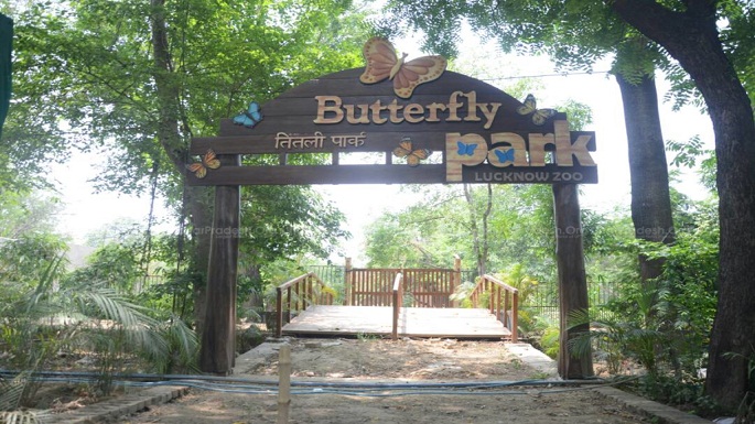 Lucknow butterfly park