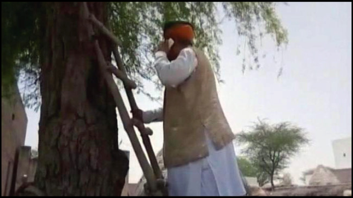 arjun meghwal climbs tree