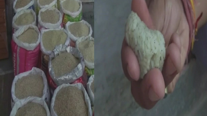 plastic rice uttrakhand