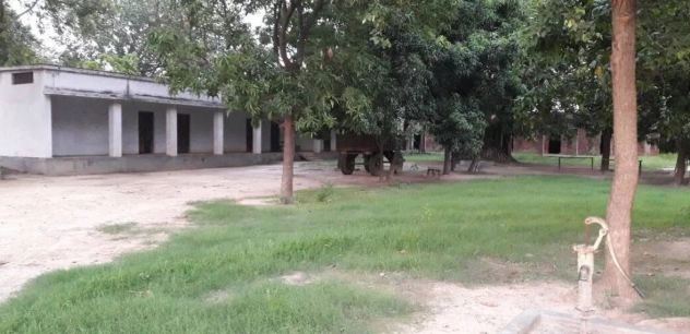 tileshwari devi intermediate college