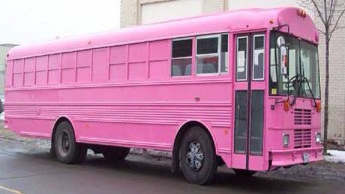 50 pink new buses