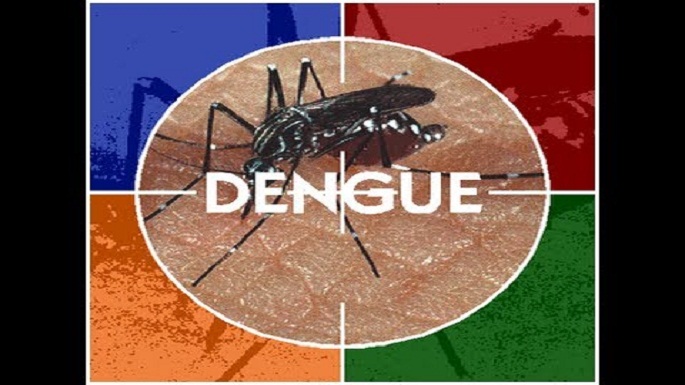 dengue malaria team