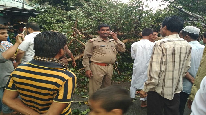 traffic system crashed due to many trees fell in heavy thunderstorm in lucknow