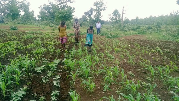 madhya pradesh financial crisis farmer