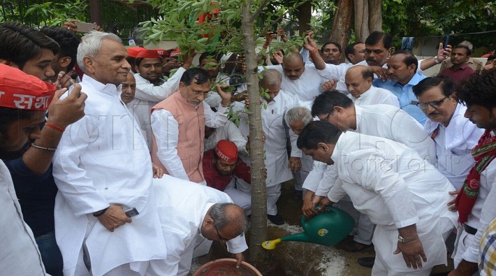 sp leaders planting on akhilesh yadav 45th birthday in lucknow