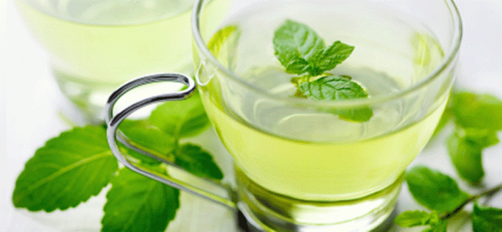 Why you should drink green tea?