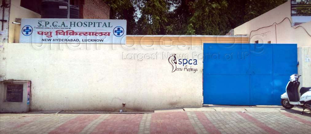SPCA Jeev Aashraya Hospital New Hydrabad lucknow