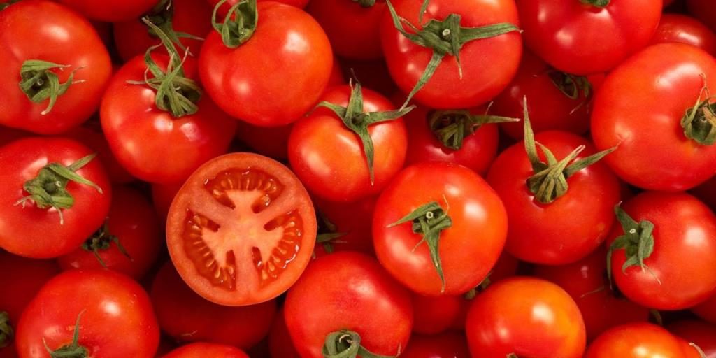 Gorge on tomatoes for healthy skin