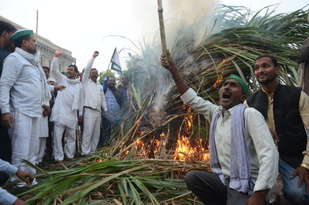 Farmers burned sugar cane in lucknow