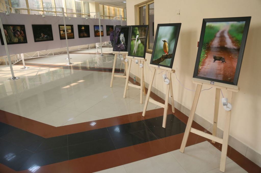Photography Exhibition celebrates Wildlife