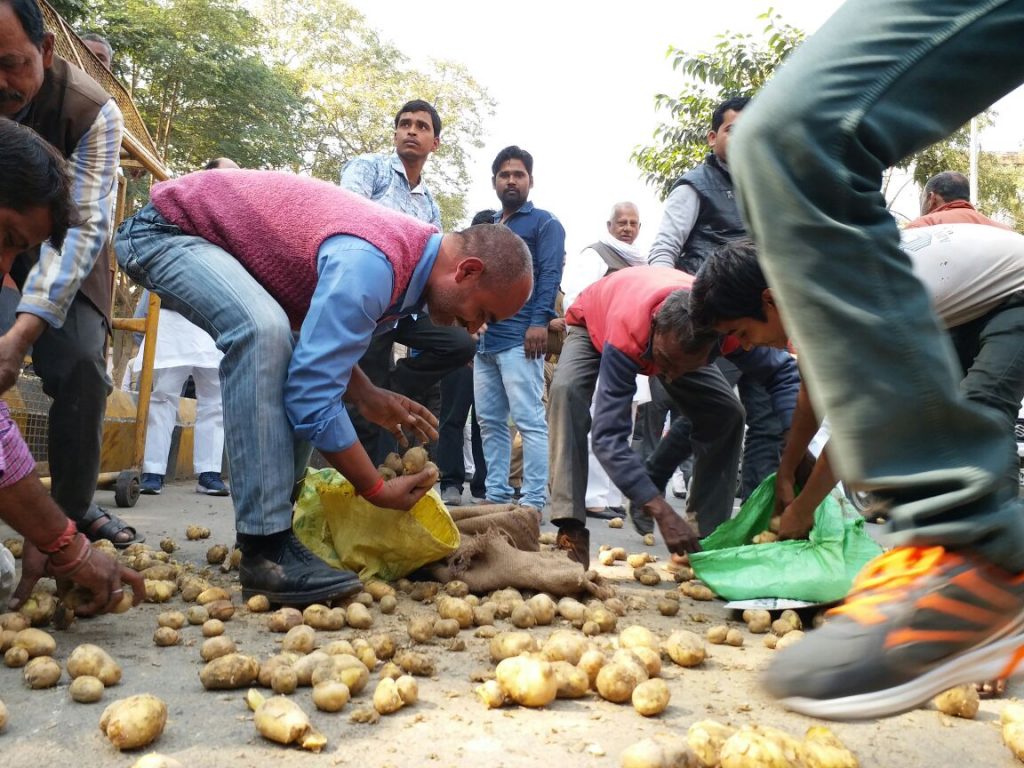 national-lok-dal-party-protests-on-road-by-throwing-potatoes (33)