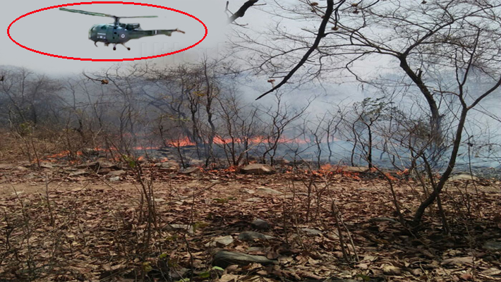fierce fire in Chitrakoot forest Help taken from Army helicopter