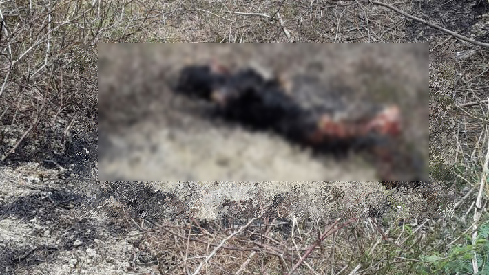 Unnao asoha: woman murdered dead body Burned suspected rape
