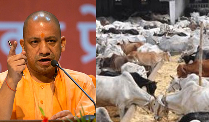 Yogi Sarkar is not able to take responsibility for cows: Nandi Sankalp Sena