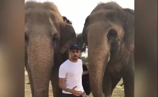 Siddharth Malhotra visits Mathura elephant rescue centre