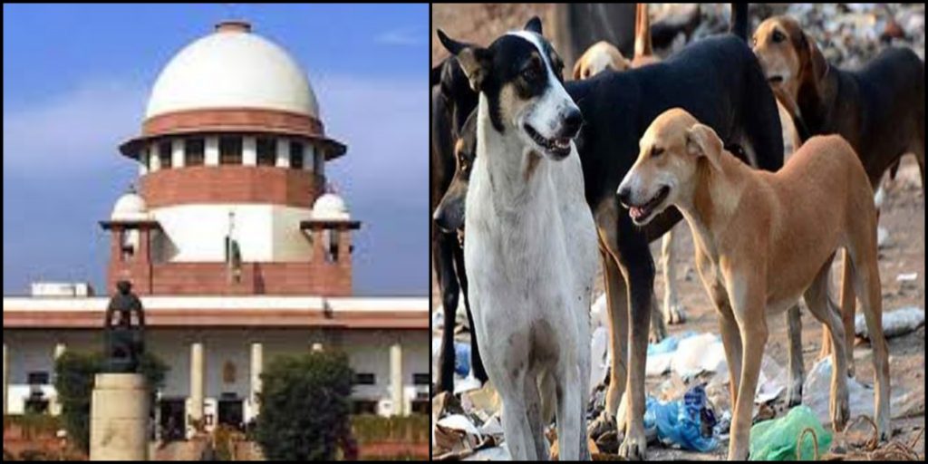 SC hearing petition against killing dogs 1st June