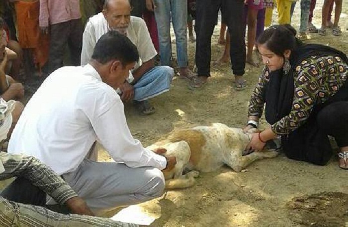 sitapur administration done dogs Postmortem killing kids
