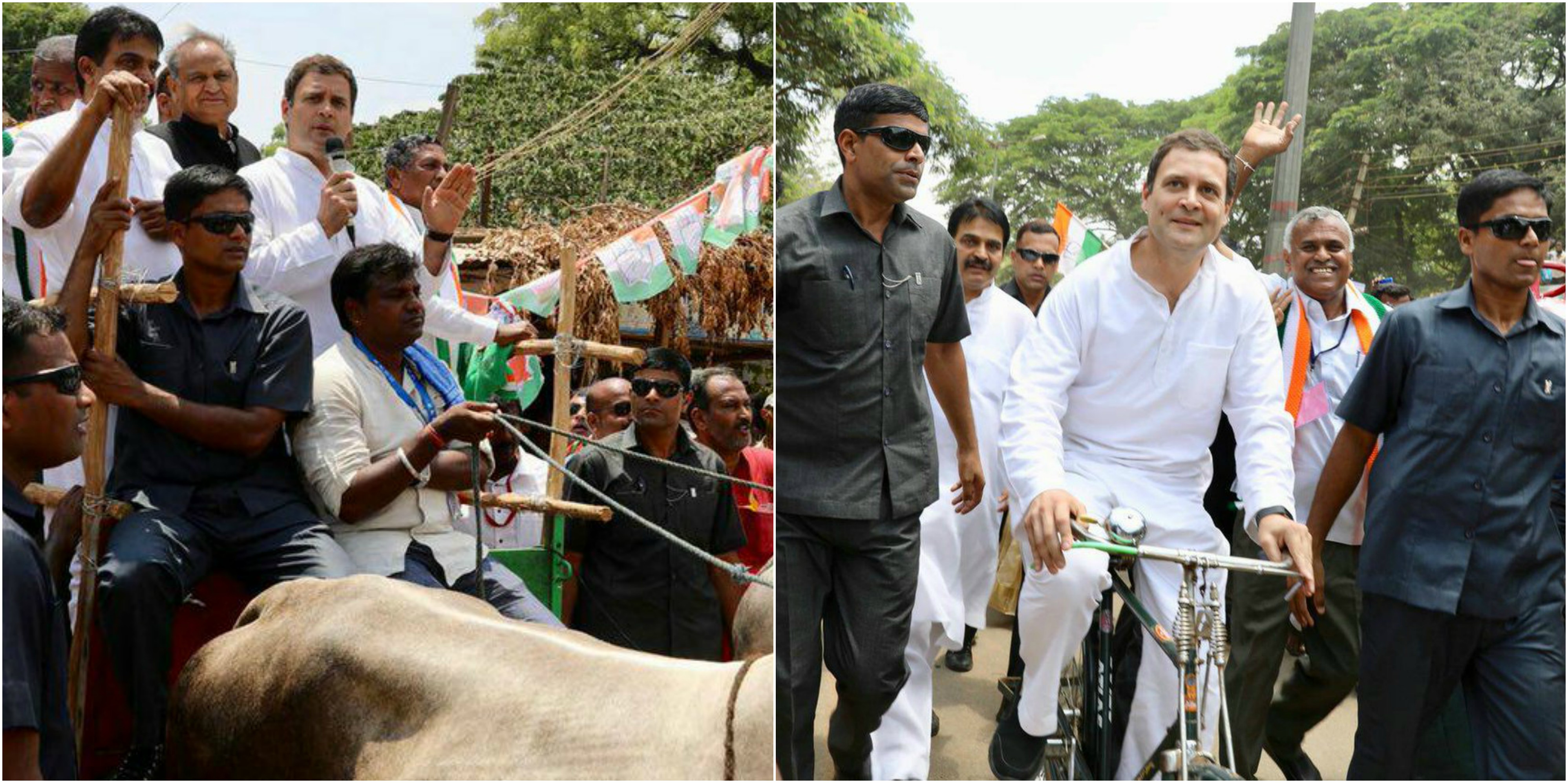 karnataka rahul gandhi bullock cart and cycle rally against fuel prize hike