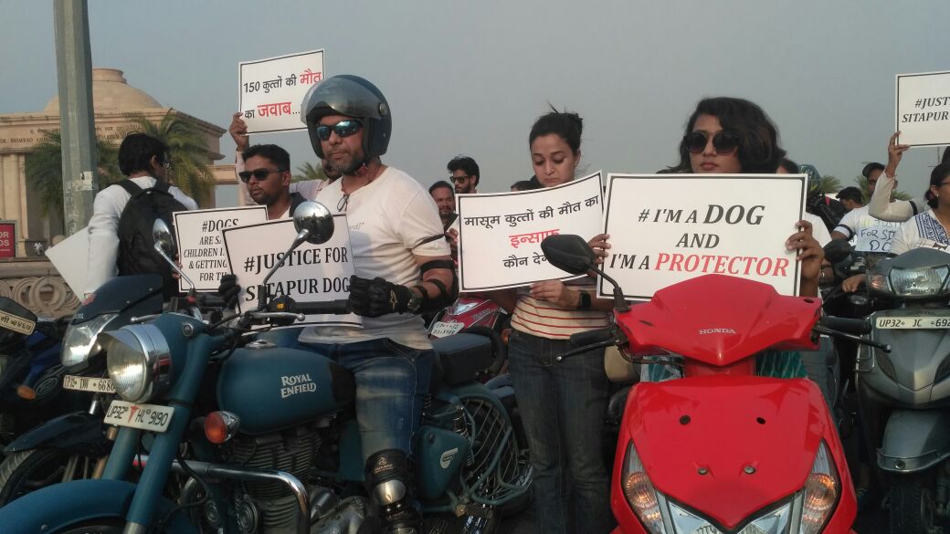 Save Sitapur innocent dogs NGO LAWF bike rally today