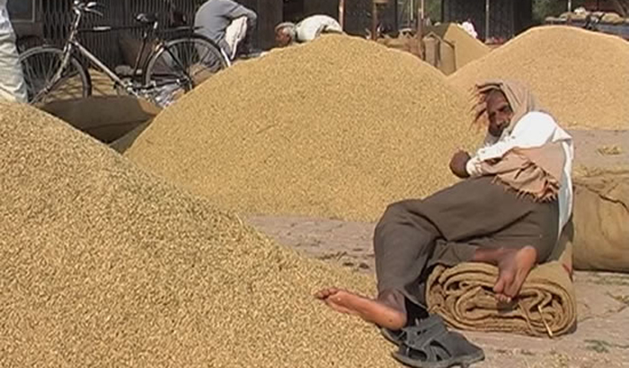 Farmers accused of bribery in Mohammadi Mandi Lakhimpur Kheri