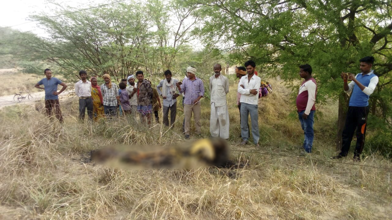farmer died due to high tension wire in Jalaun District