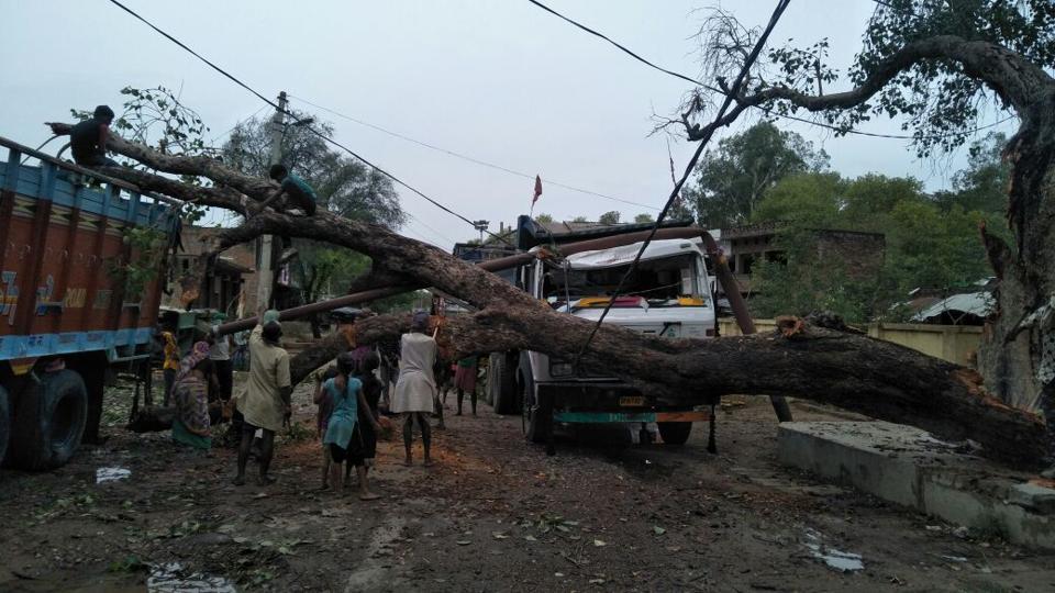 Hundreds of people died thunderstorm and heavy rain in rajasthan and up