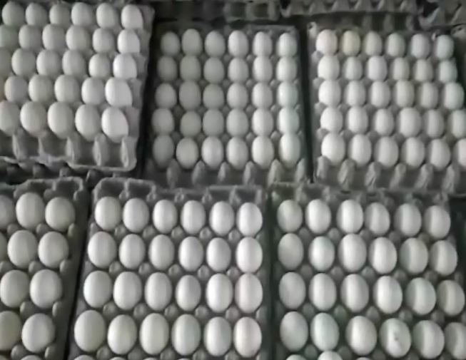 unhealthy Plastic eggs sold openly officials does not care