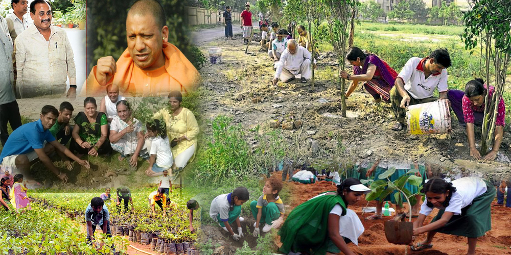 Nine Crore Plantation will be done On 15th August Independence Day