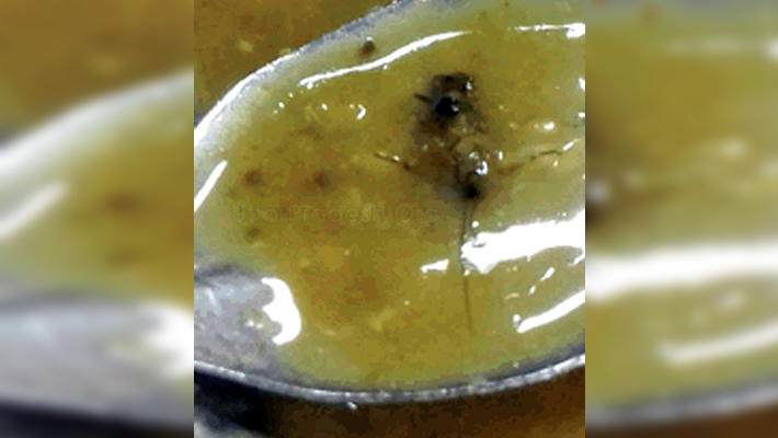 Worm Found in Breakfast at BBAU Girls' Hostels Canteen