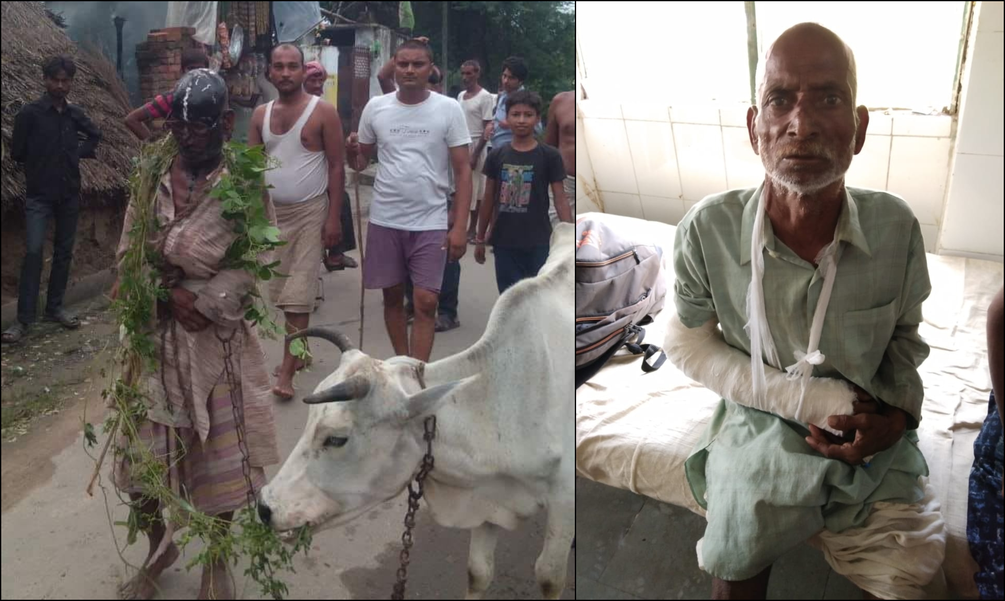 crowd beaten 70-year-old man allegedly-leaving-cow