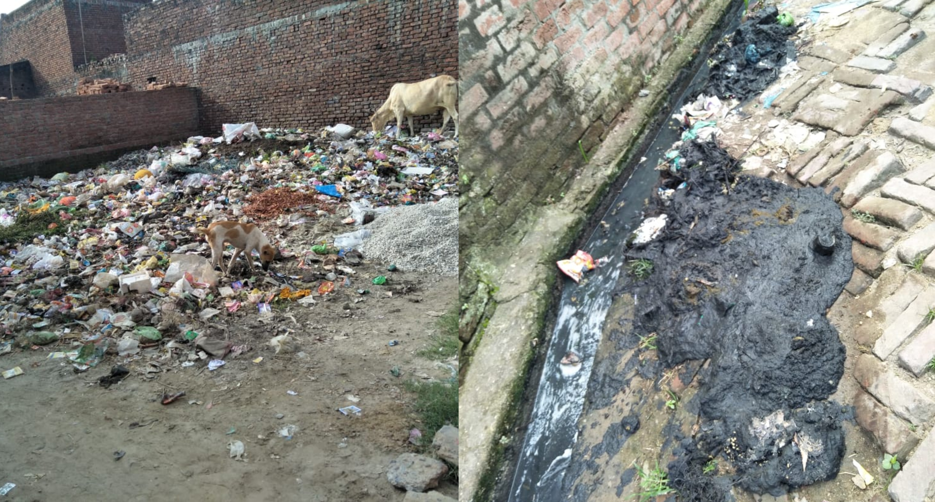 nagar nigam safai karamchari not working properly made area dirty