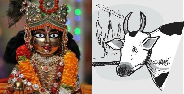 Slaughtering animals continued on the day of Janmashtami