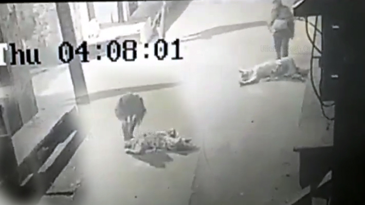 Shamali: Woman Shot Dead Murder incarceration CCTV Footage Video
