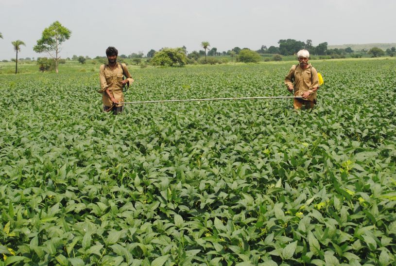 Fake Fertilizers Supplied To Farmers in Rae Bareilly Uttar Pradesh