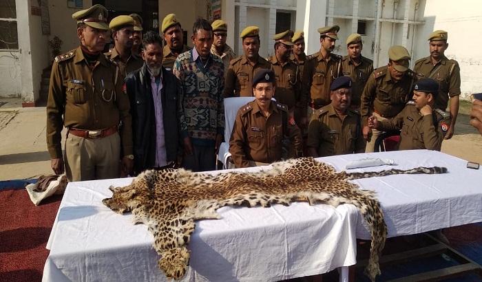 Police arrested the two smugglers with leopard skins illegally