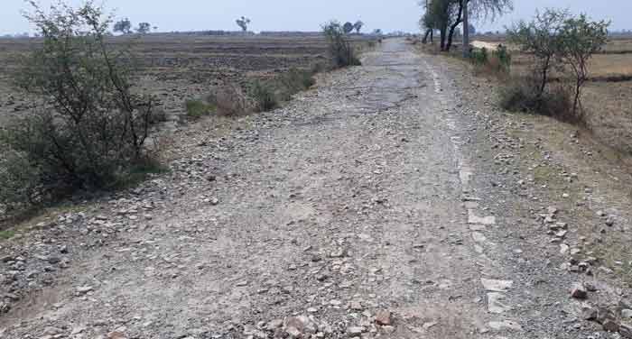 Anupriya patel adopted village Dadri's reality check (2)