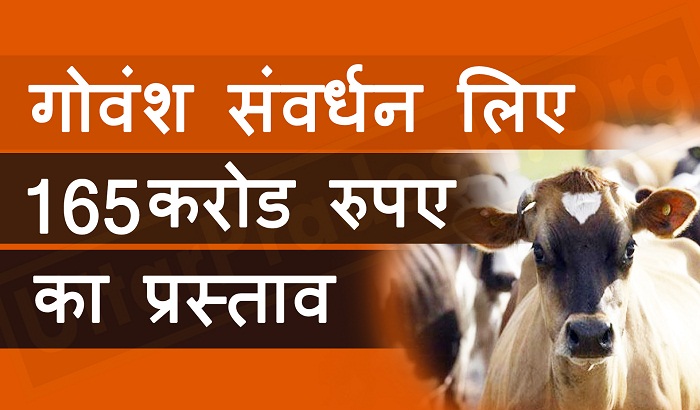 UP budget gift for cow protection passed in Assembly