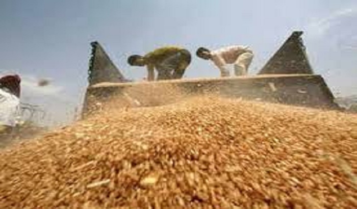 Lucknow- 43 centers for wheat procurement in UP capital