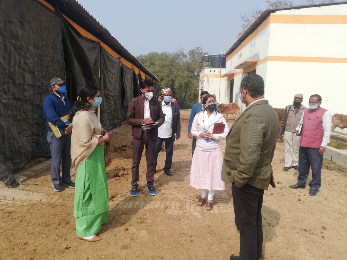 cdo inspects large cow shelter in amethi