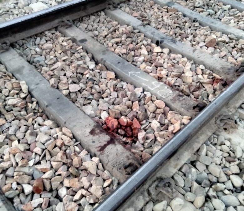 मथुरा- थाना राया की बिचपुरी चौकी क्षेत्र में ट्रेन की चपेट में आने से एक व्यक्ति की मौत हो गई|
