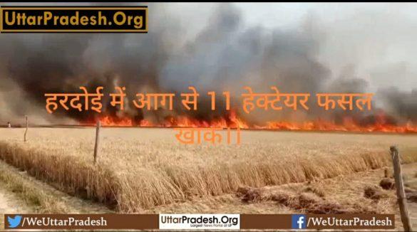 11-hectare-crop-destroyed-by-fire-in-hardoi