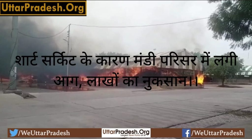 fire-in-mandi-premises-due-to-short-circuit-loss-of-lakhs