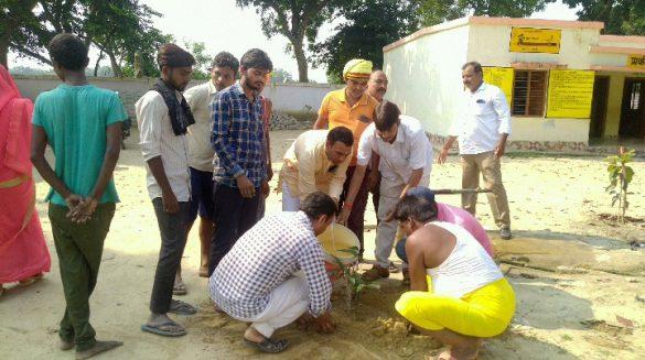 amethi-bjp-workers-planted-trees-under-seva-pakhwara